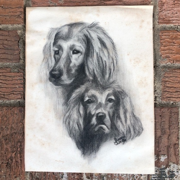 Vintage Original Charcoal Sketch Irish Setter Head Study Signed Sharron Scott 80 - Picture 1 of 4
